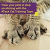 ATack Cat Anti-Scratch Training Tape, Residue-Free and Removable, Clear, 2.5-Inches