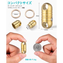 TISUR Keychain, Detachable Quick Release Carabiner, Removable Key Chain, Stylish with Key Ring (Brass/Magnetic Release)