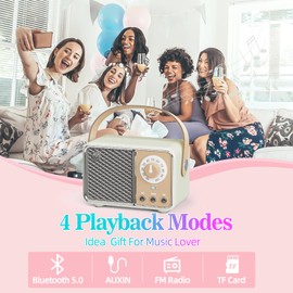 Dosmix Retro Bluetooth Speaker, Vintage Decor, Wireless Bluetooth Speakers, Cute Old Fashion Style for Kitchen Desk Bedroom Office Party Outdoor Kawaii Accessories (Smoke Green)