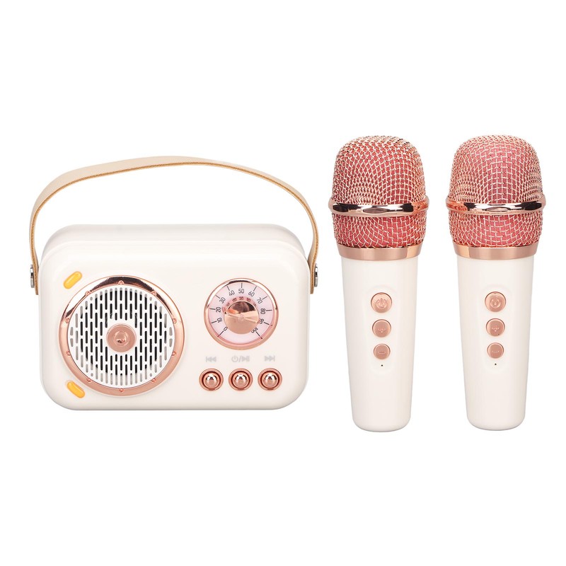 Karaoke Machine Multifunction Enhanced Bass 6 Modes Portable Bluetooth PA