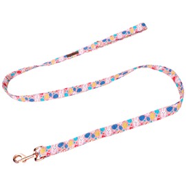 Lionet Paws Easter Day Dog Leash Matching Dog Collar for Small Medium Dog