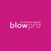 blowpro Damage Control Daily Repairing Conditioner, 1.7 fl. oz.