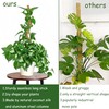 Wagotnbao Moss Pole,48'' Moss Pole Monstera Plant Support,Moss Pole for