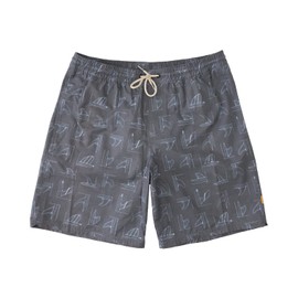 Quiksilver Waterman Men's Volley Swim Trunk Bathing Suit, Subtle Green Deck Stripe, L