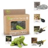 Montessori Frog Life Cycle Flash Cards, Plastic Insects Tadpole to