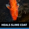 CrystalClear ParaSalt - Pond Salt for Koi & Goldfish -