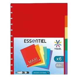 Viquel - Set of 6 Maxi A4 Dividers with Special Perforation for Geode Presentation Folders with Removable Pockets