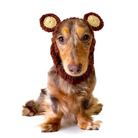 Zoo Snoods Grizzly Bear Costume - Warm Knit Dog Snood Wrap for Pets, Neck Ear Cover Protection, Halloween Winter (Small)