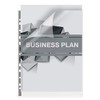 Rexel Nyrex Premium A4 Punched Pocket with Grey Spine, Clear,