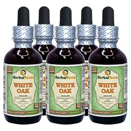 White Oak (Quercus Alba) Glycerite, Organic Dried Bark Alcohol-Free Liquid Extract (Brand Name: HerbalTerra, Proudly Made in USA) 5x2 fl.oz (5x60 ml)