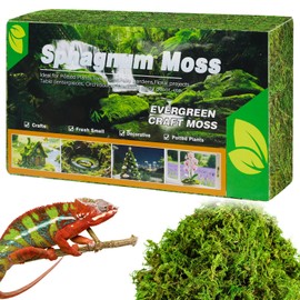 OMJMYY 300g Sphagnum Moss Natural Sphagnum Live Moss Nutritional Organic Sphagnum Moss for Plants Potted Plant Reptiles Habitat Hatching Substrate for Snakes Frogs Hamster Lizard(Light Green)