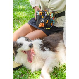 OllyDog Backcountry Day Bag | Hands-Free Dog Training Treat Pouch | Fanny/Hip Pack with Zipper Closure & Built-in Poop Bag Dispenser | Removable Waist Clip (Cloud9)