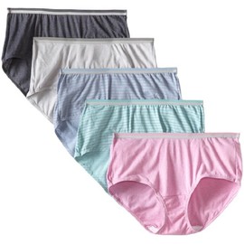 Fruit of the Loom Women's 5 Pack Heather Brief Panties, Assorted, 10