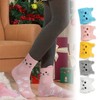 ZSRVAJ 5 Pairs Of Cat Socks, Socks Womens 4-7, Cute