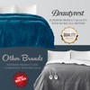 Beautyrest Heated Electric Blanket for Cold Weather, Fast Heating Heated
