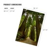 Lantern Press Redwood Forest Road Photography A-91535, 1000 Piece Jigsaw