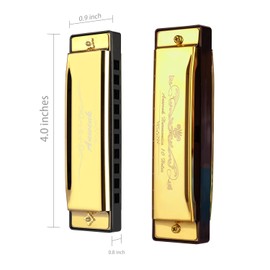 Anwenk Harmonica Key of C 10 Hole 20 Tone Diatonic Harmonica C with Case for Beginner