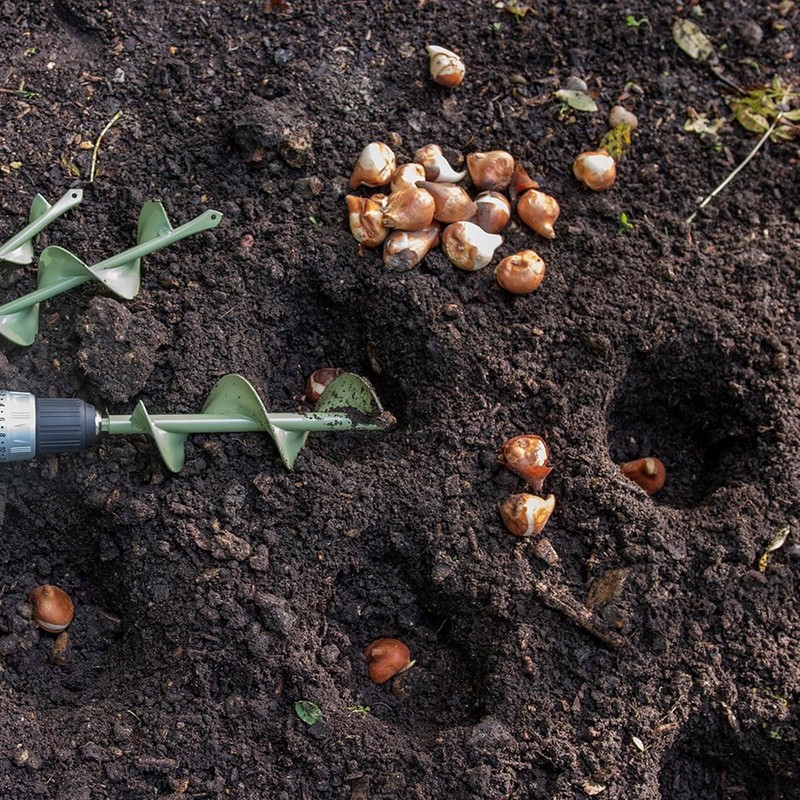 Crocus Collection 25cm Bulb Planting Auger Drill Bit for Plug