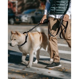 FunTags Reflective Martingale Collar for Dogs, Quick Release Buckle, 5FT Double Handle Dog Leash Padded, Dog Collar and Leash Set, Adjustable for Large Dogs (Black, L)