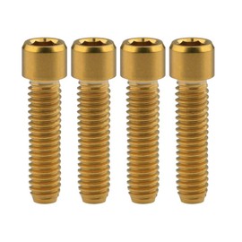 Ruifu 4pcs Titanium Alloy Small Head Hex Socket Head Screw M4x10/13.5/15/20/25mm Bicycle Transmitter Adjustment Bolts (M4x25mm, Black)