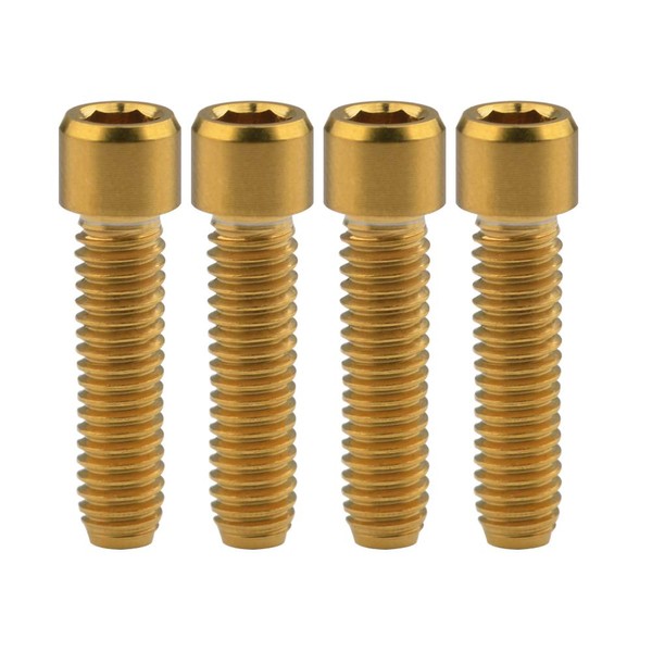 Ruifu 4pcs Titanium Alloy Small Head Hex Socket Head Screw