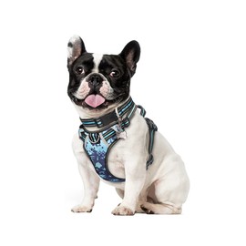 WINSEE Dog Harness Camo, No Pull Pet Harness with Dog Collar, Adjustable Reflective Padded Outdoor Vest, Front/Back Leash Clips for Small, Medium, Large, X Large Dogs, Easy Control Handle for Walking