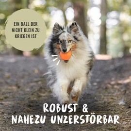 Rudelkönig Dog Ball Made of Natural Rubber – Orange Ball with 6.5 cm Diameter – Virtually Indestructible Rubber Ball for Dogs