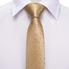 Hi-Tie Father and Son Tie Set Champagne Ties for Men