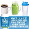 Root Vitality Collagen Peptides Powder - Grass-Fed, Pasture-Raised Hydrolyzed Protein