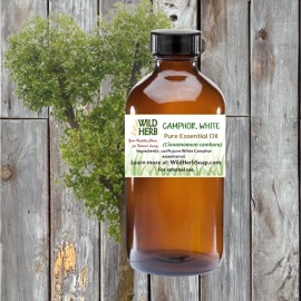 Wild Herb Soap Co. LLC ORGANIC CAMPHOR (WHITE) PURE ESSENTIAL OIL | .5 to 64 oz | Wholesale Price | USA - 8 oz
