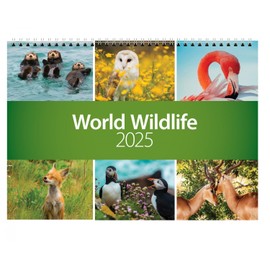 2025 World Wildlife Wall Calendar - CL06