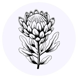 24 x 40mm Round 'Protea Flower' Stickers (SK00065959)