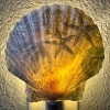 Nightlight Scallop Shell Coastal Decoupage Shell Art Light- Beach Theme