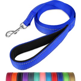Taglory Reflective Heavy Duty Dog Leash 4ft 6ft,Neoprene Padded Handle and Metal Hook Pet Training Leashes for Small Medium Large Dogs
