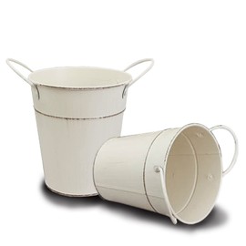 Pack of 2 Vintage Flower Pot, Country House Style, Metal Flower Vase, for Garden Flower Arrangement, Living Room Ornament, Small Parts Storage (Vintage Beige)