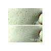 이니스프리 Black Tea Youth Enhancing Ampoule 50mL