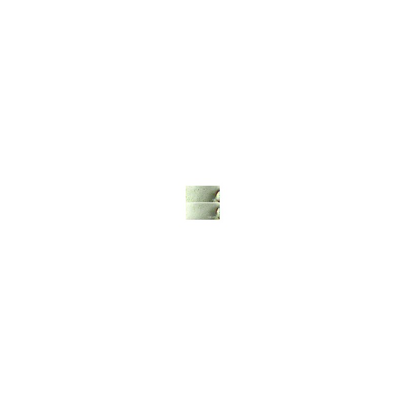 이니스프리 Black Tea Youth Enhancing Ampoule 50mL