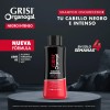 Shampoo Grisi Organogal Negro Intenso 400ml