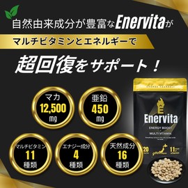 EnerVita マルチビタミン 亜鉛 マカ サプリ ミネラル 120粒 栄養機能食品 医師推奨 疲労回復 ナチュラル成分豊富