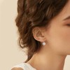 LANBEIDE Sterling Silver Leverback Hoop Earrings for Women