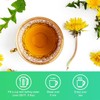 Organic Dandelion Root Herbal Tea, Premium Dandelion Root Leaf with