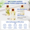 HIQILI HIQILI Clove Essential Oil and Sweet Orange Essential Oil,