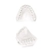 3 LB - White Dental Lab Plaster for Dental Cast