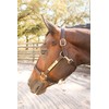 Tack Shack of Ocala Leather Halter with Customized Engraved Name