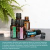 Nature's Fusions Nature's Shield, 100% Pure and Natural Essential Oil