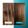 Barcelona Pharma | Tratamiento Rescate Capilar: Shampoo Reestructurante + Leave