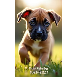 Pocket Calendar 2026-2027: Small 2-Year Monthly agenda from January 2026 to December 2027 purse size | Boxer Dog Design