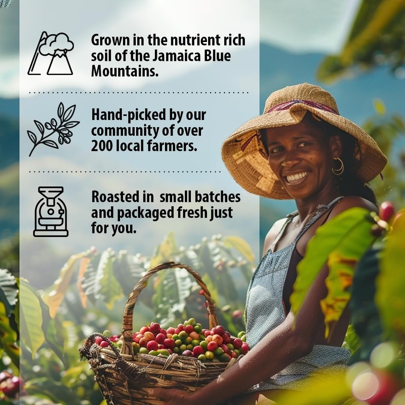 Jahva 100% Jamaican Coffee Medium Roasted and Ground from Jamaica