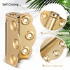 Zonon 4 Pack Self Closing Screen Door Hinge 2 3/4"