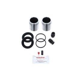 Bigg Red - Front Left or Right Brake Caliper Repair Seal Kit and Pistons - Compatible with Santa FE, XG, H1, Trajet, Highway, Ssangyong Rexton